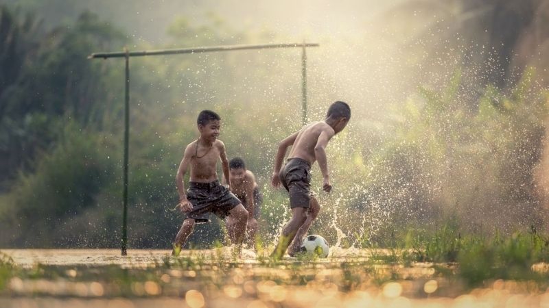 1000+ Hình ảnh đẹp nhất về quê hương Việt Nam gợi lại ký ức tuổi thơ